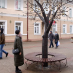 “Теперь ждем кусты смородины и грядку с морковкой”. В Могилеве установили железную вишню из шарикоподшипников – фото