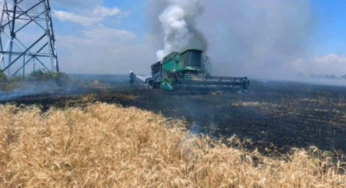 У прыфрантавой Мікалаеўскай вобласці прагназуюць сабраць удвая меншы ўраджай, чым летась. У Літве за чэрвень гадавы рост кошту харчоў сягне 30%. У Латвію з 24 лютага ўехала амаль 24 тысячы грамадзян Расіі