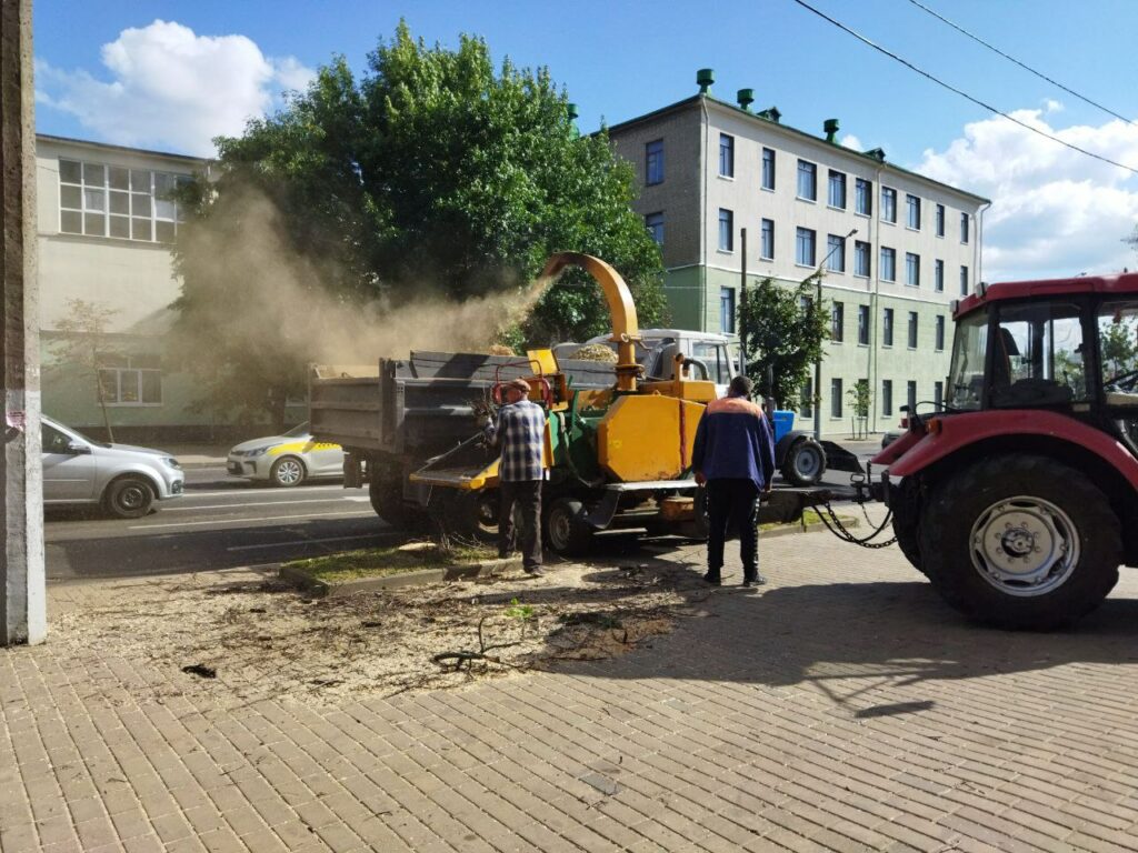 У цэнтры Магілёва пілуюць дрэвы. Гараджане не задаволеныя, але што рабіць – не ведаюць