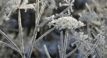 Снежань прагназуецца мяккім, снежным, пахмурным. Сюрпрызаў не чакаецца