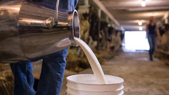 анализ молочного производства в регионе