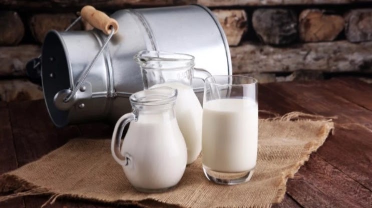 Привычное последнее место – анализируем, как обстоят на Могилевщине дела с молочкой