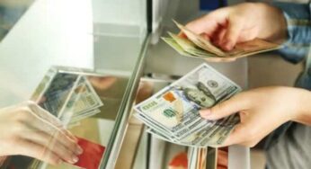 Беларусы ў лютым здалі валюты на 31 мільён долараў больш, чым купілі