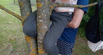 У Круглым хлопчыку так заціснула нагу ў дрэве, што прыйшлося выклікаць ратавальнікаў