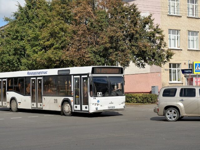 Недахоп вадзіцеляў у Бабруйску зноў прывёў да адмены аўтобусных рэйсаў