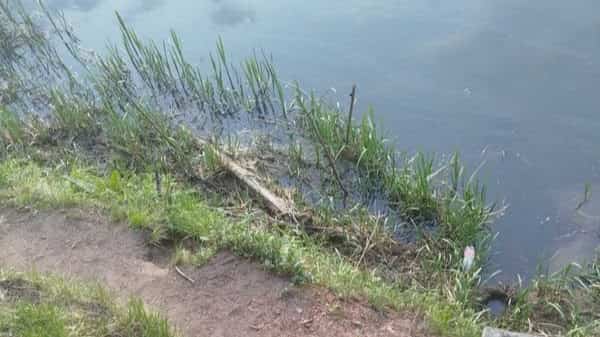 У Друці ў Круглянскім раёне патануў чалавек