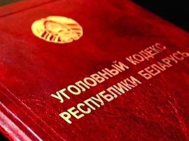 У Бабруйску выкрылі махляроў і  злавілі серыйную зладзейку