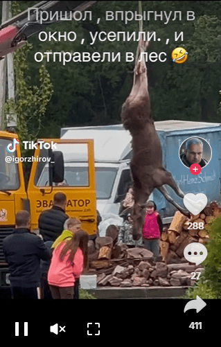 усыпили
