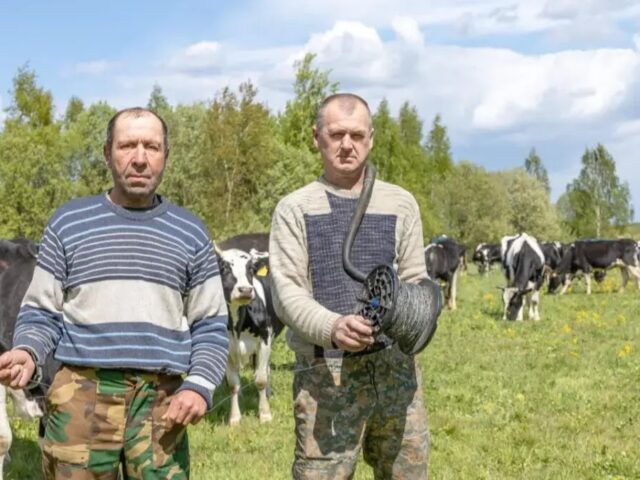 Пастухи-лирики из Дрибина: работа ответственная, но романтичная