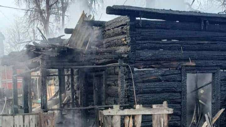 шапчицы