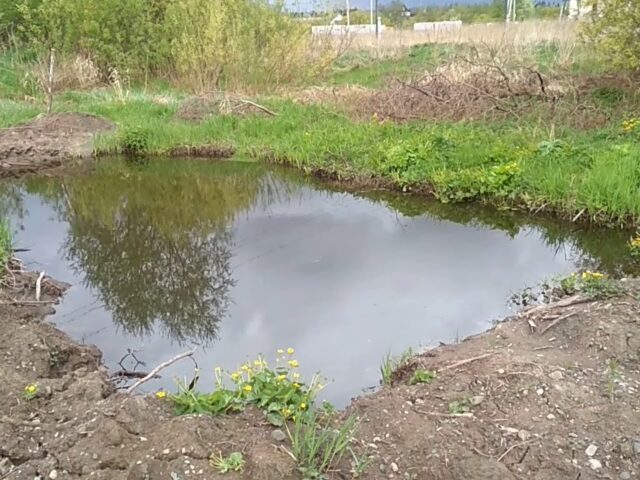 Жанчыну, падазраваную ў падпале, выратавалі ад утаплення пад Бабруйскам