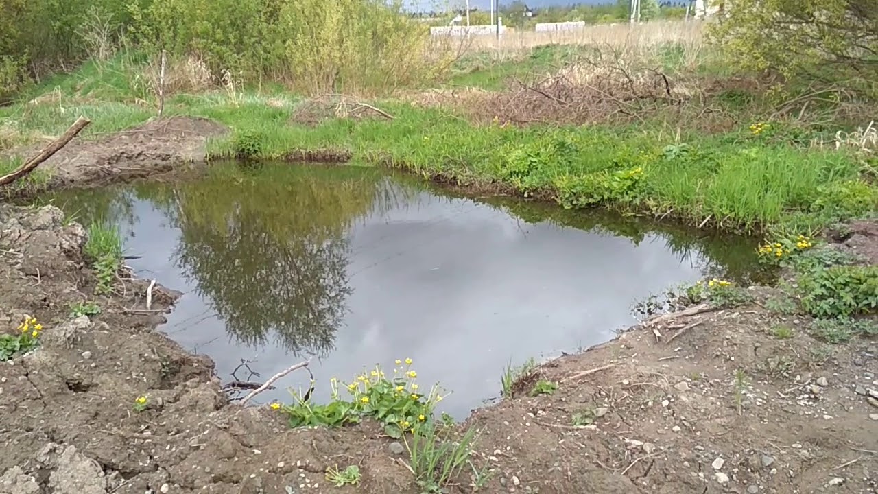 сажалка кончаны