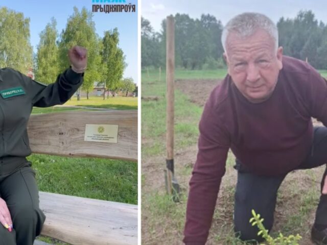 В Быховском районе высадили 10 гектаров мужества