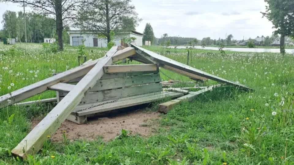 сітня