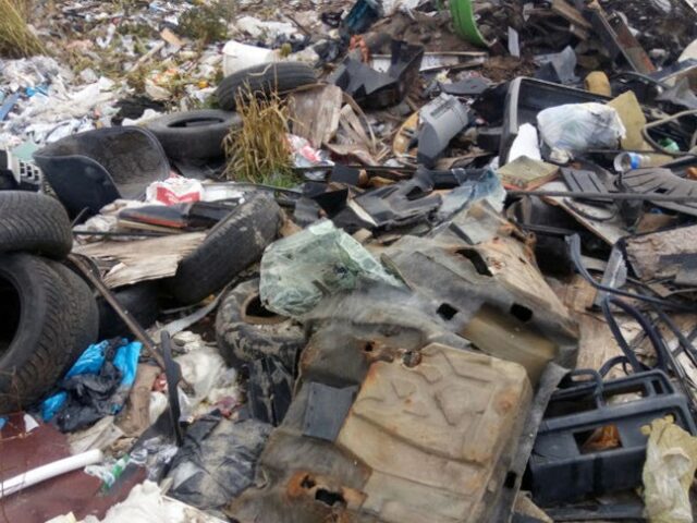 Климовичское предприятие, устроившее свалку в лесу, оштрафовано на 4200 рублей
