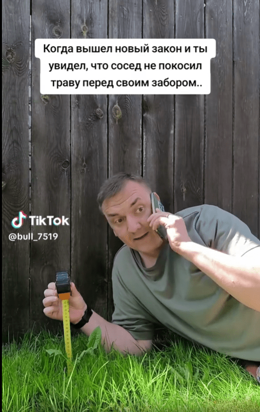 трава 20 см
